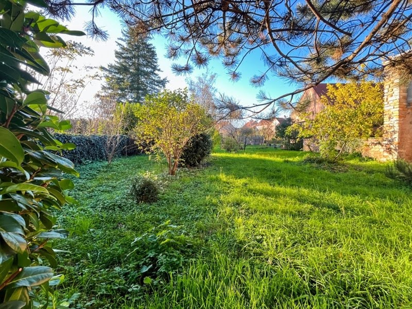 Maison à vendre - 5 pièces - 97m2 - Salornay-Sur-Guye (71250)