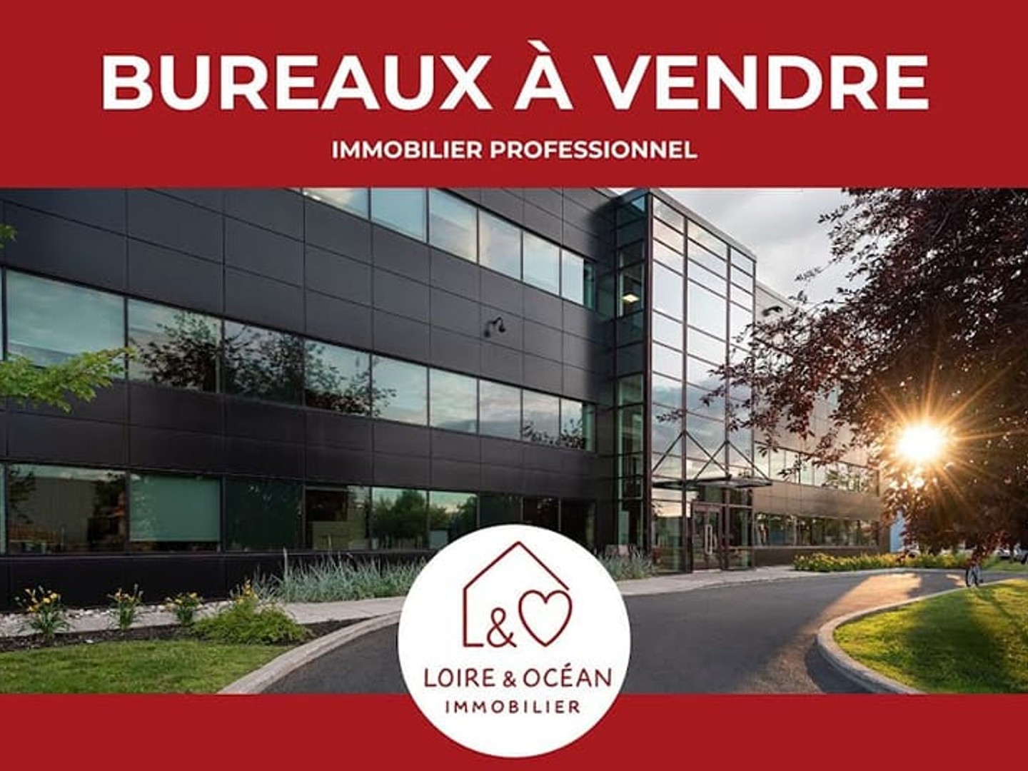 Local 990 m²