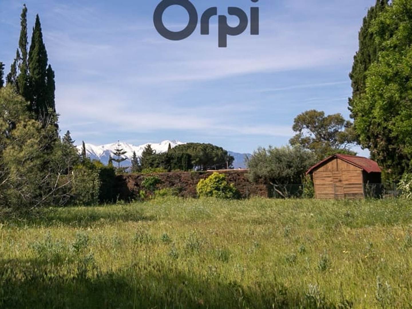 Terrain à vendre - 700m2 - Saint-Féliu-D'avall (66170)