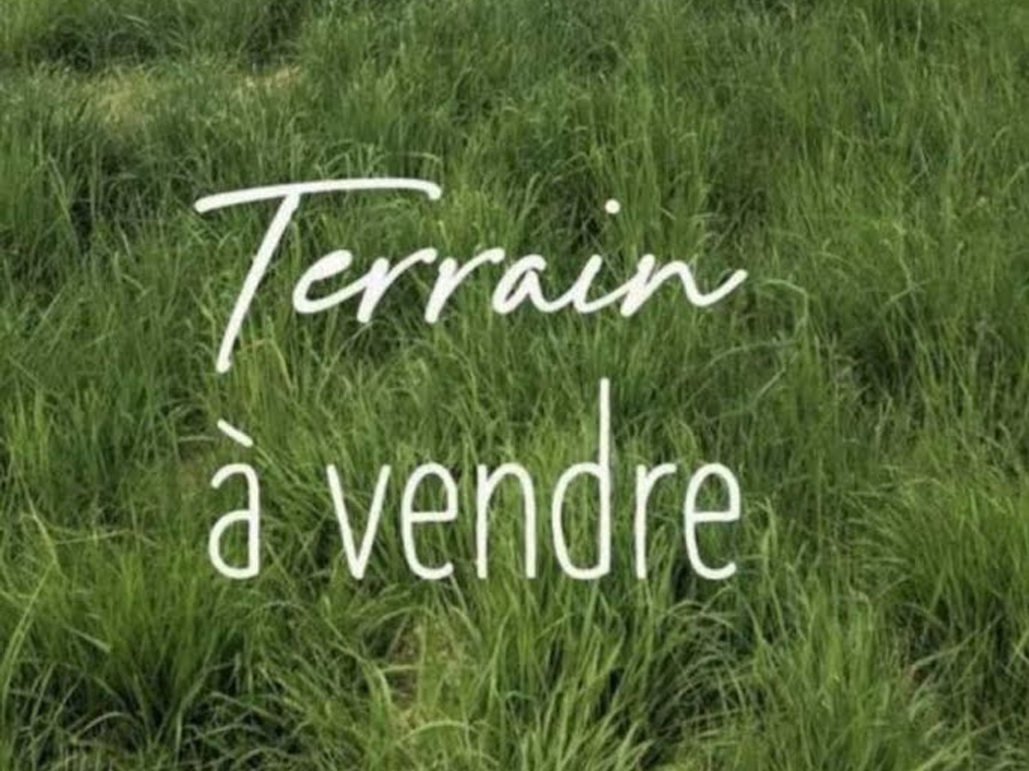 Maison à vendre - 4 pièces - 90m2 - Louit (65350)