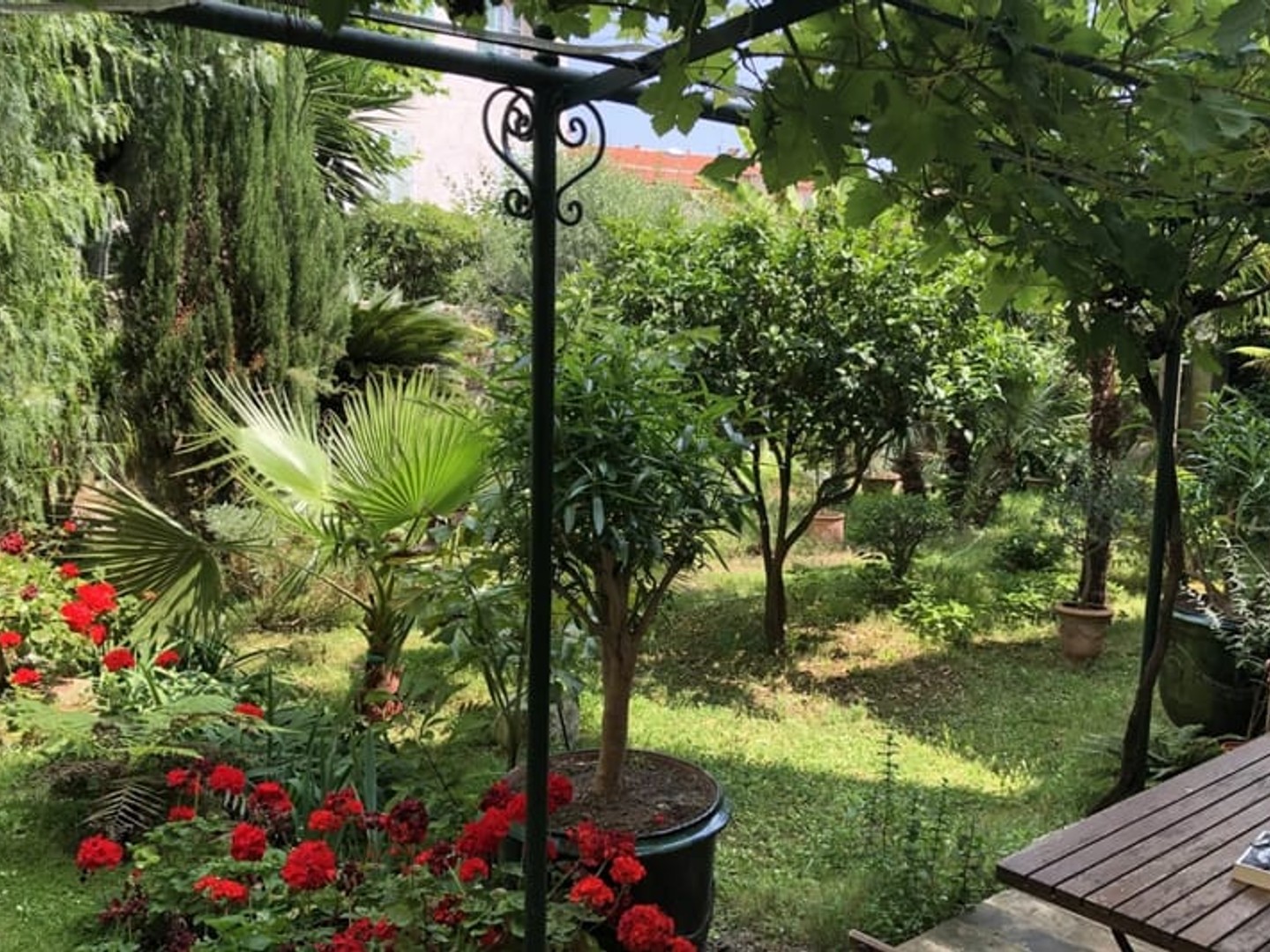 Vieil Antibes - Nue-propriété d'exception dans immeuble bourgeois | Placement patrimonial sécurisé