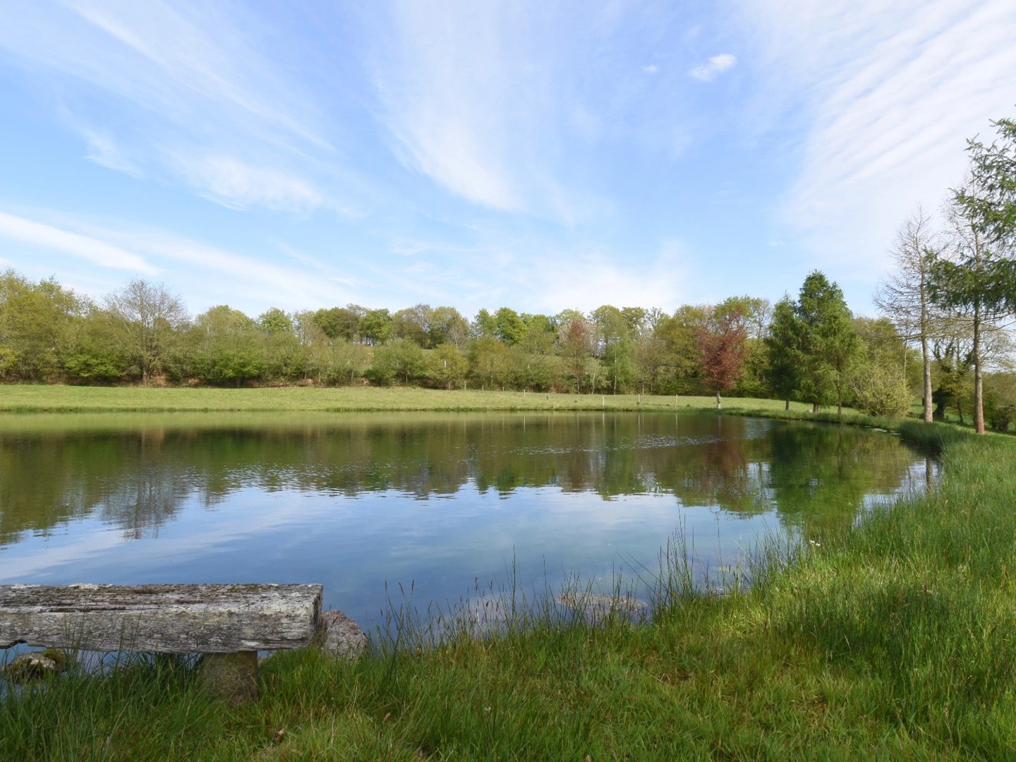 Terrain à vendre - 38854m2 - Ger (50850)