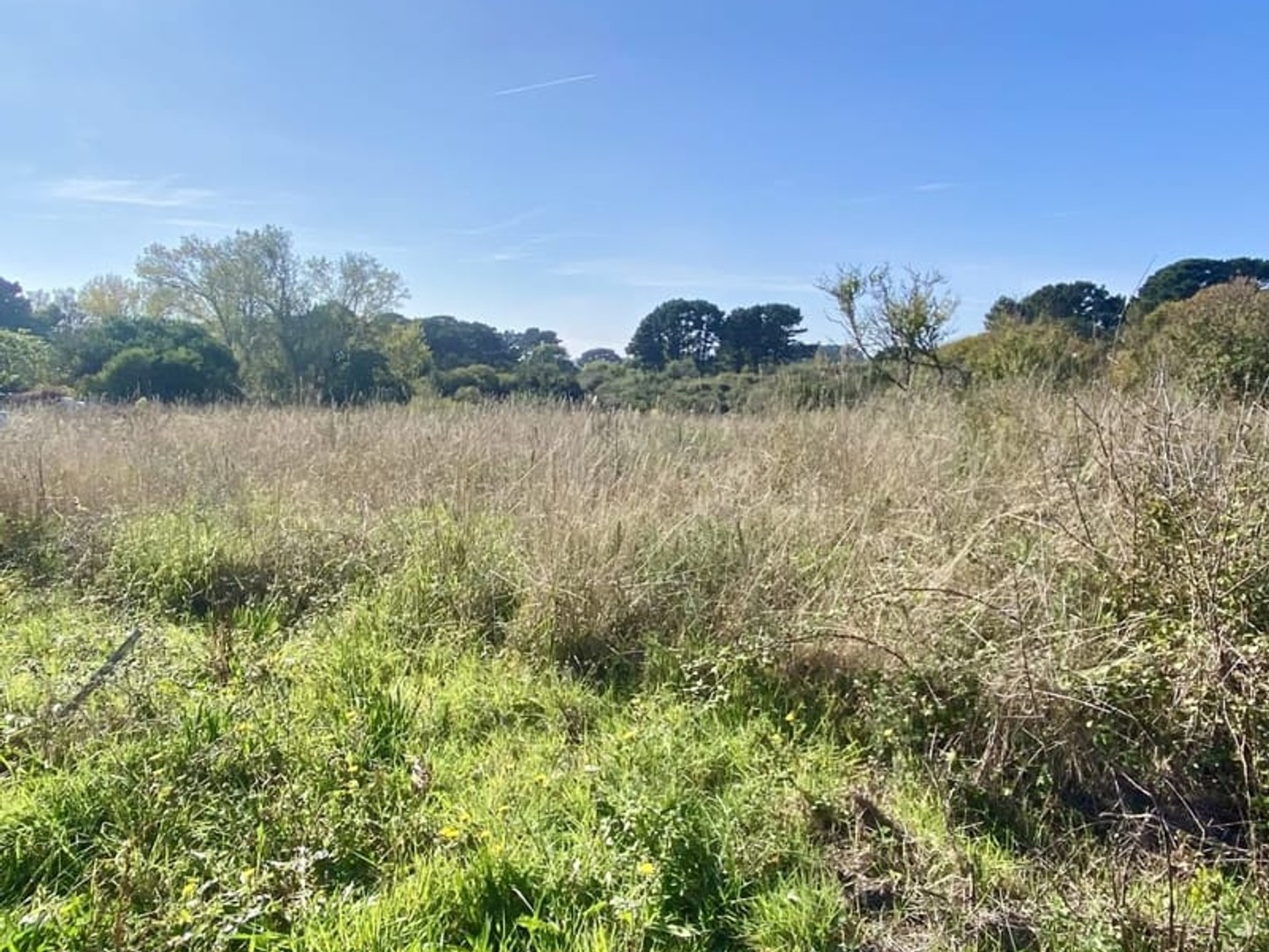 Terrain à vendre - 1740m2 - Groix (56590)