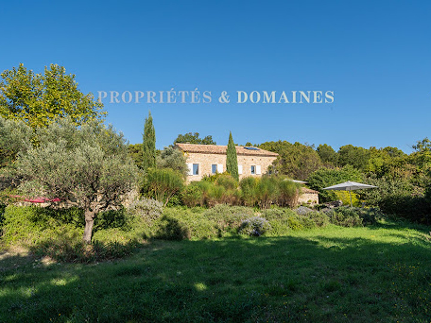 Vignoble 300 m²
