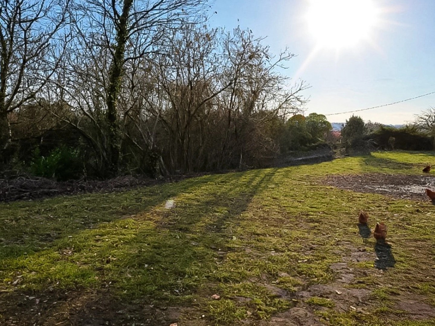Terrain à vendre - 1900m2 - Clairac (47320)