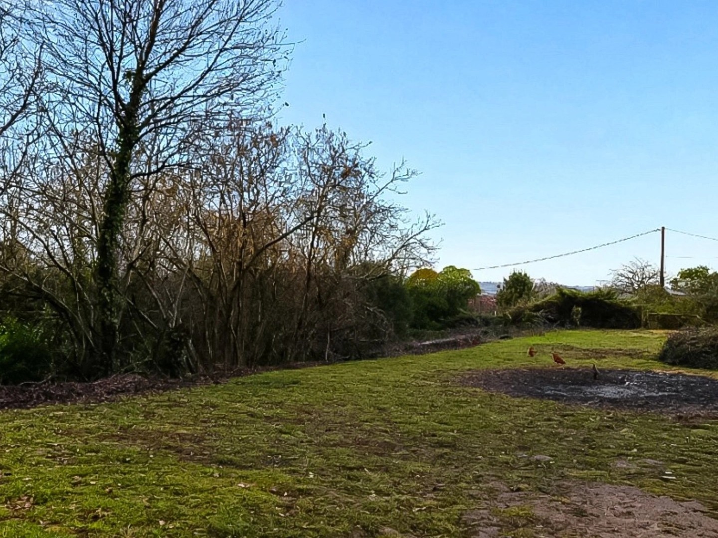 Terrain à vendre - 1900m2 - Clairac (47320)