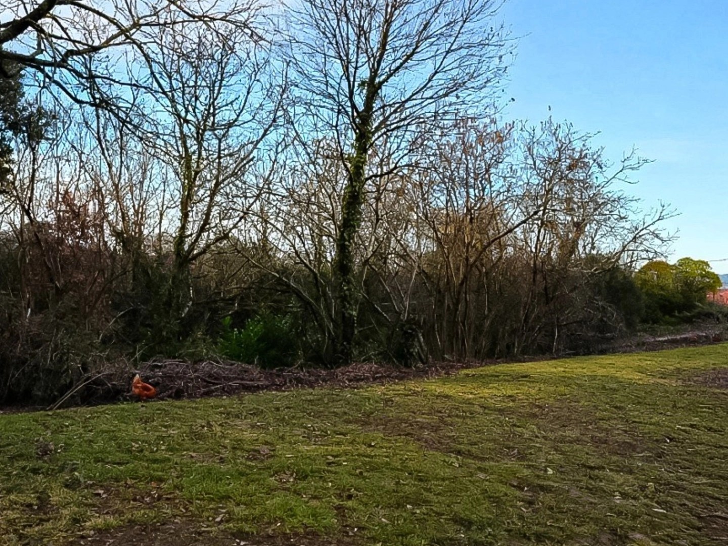 Terrain à vendre - 1900m2 - Clairac (47320)