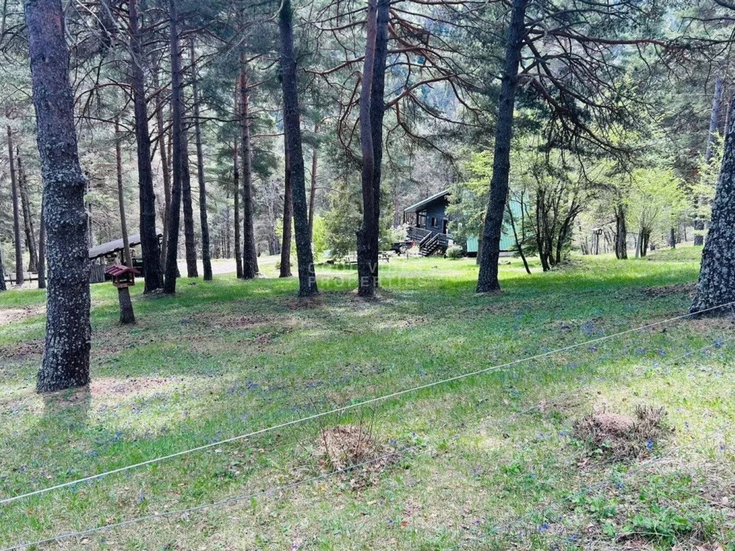 Terrain à vendre - 2632m2 - Le Mas (06910)