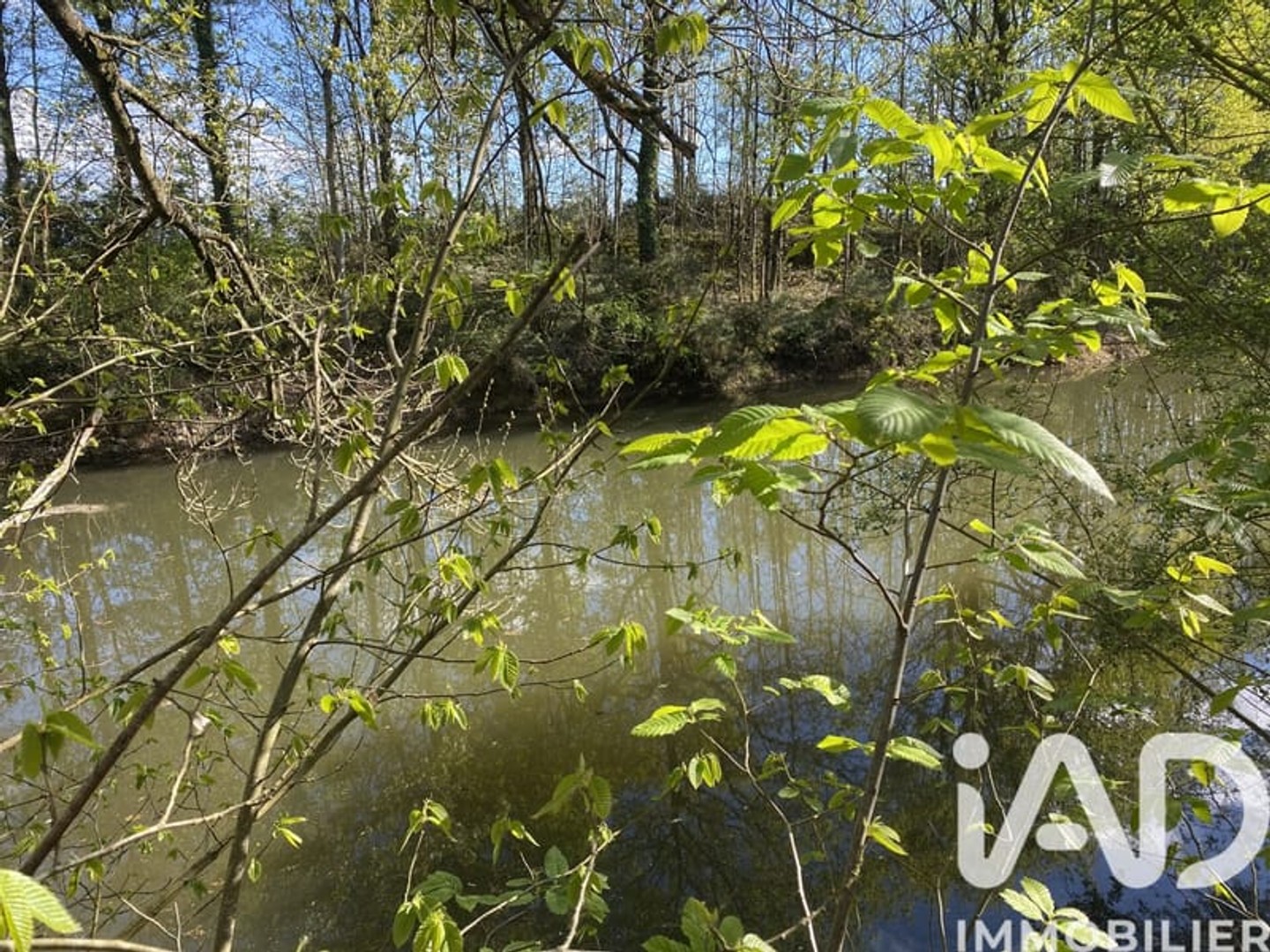 Terrain à vendre - 10390m2 - Beaupréau-En-Mauges (49600)