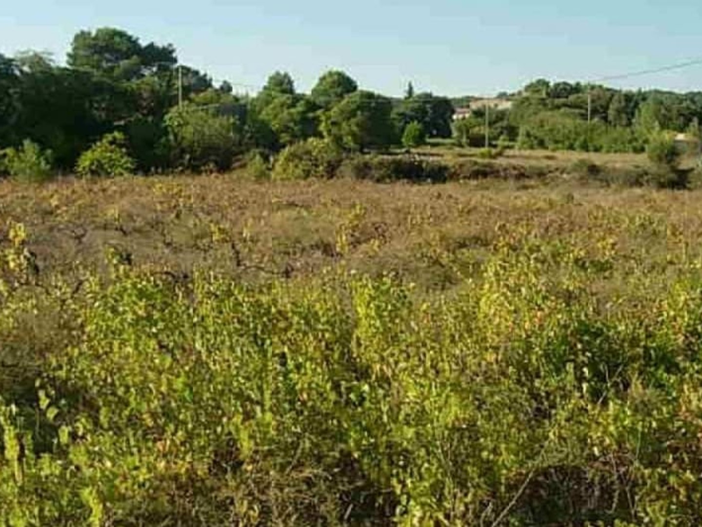 Terrain à vendre - 1052m2 - Clermont-L'hérault (34800)