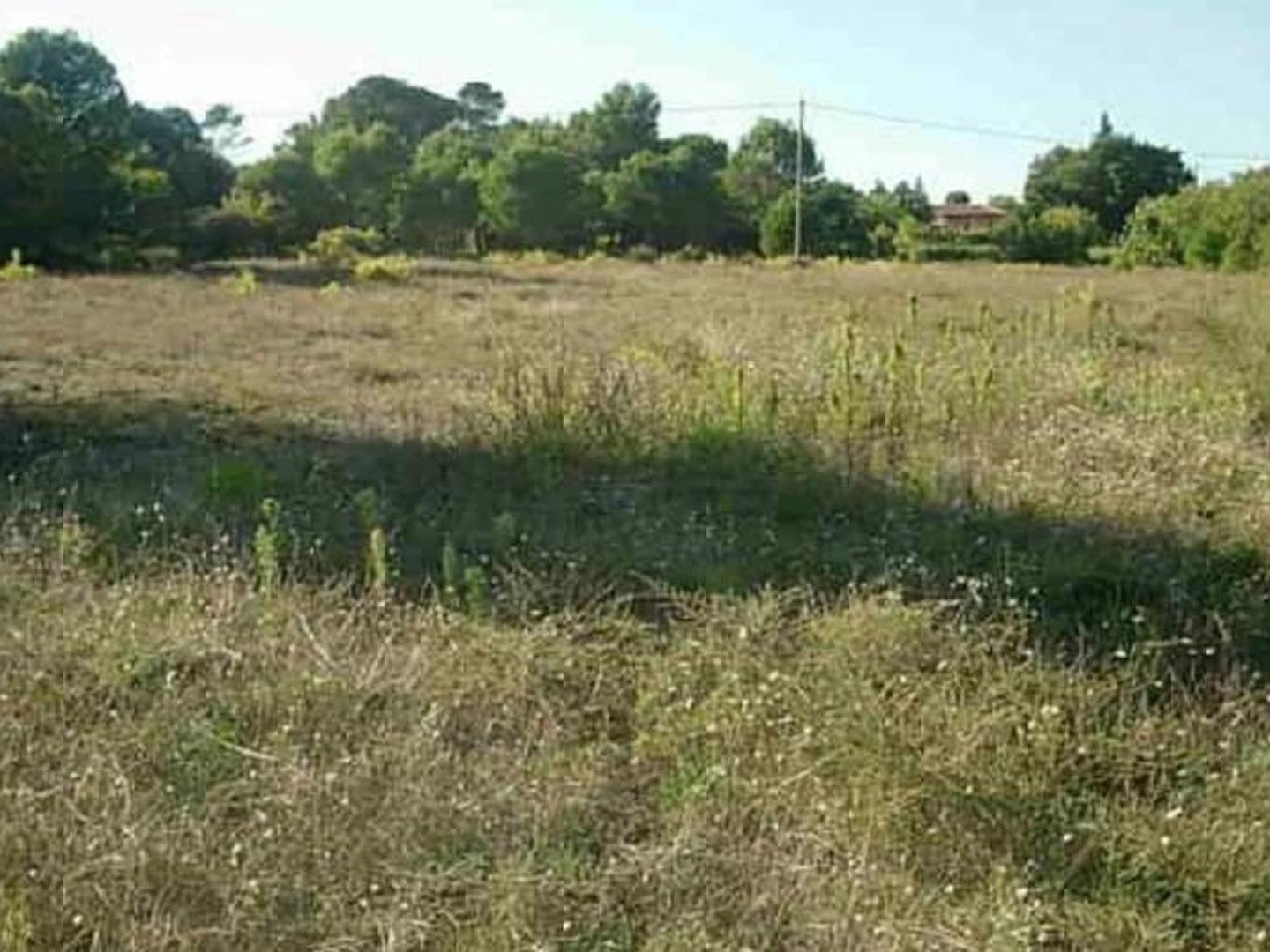 Terrain à vendre - 1052m2 - Clermont-L'hérault (34800)