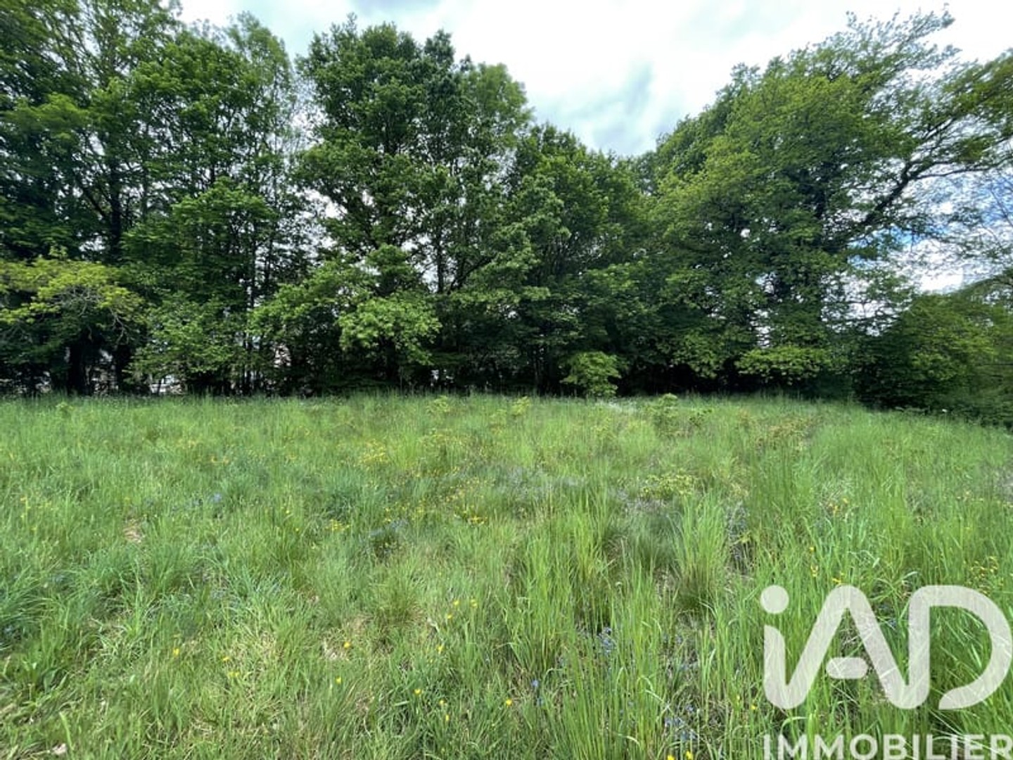 Terrain à vendre - 886m2 - Nedde (87120)