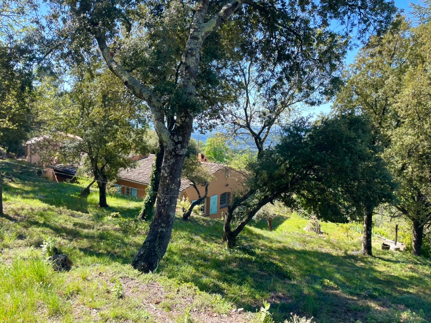 Maison à vendre - 8 pièces - 170m2 - Tourtour (83690)