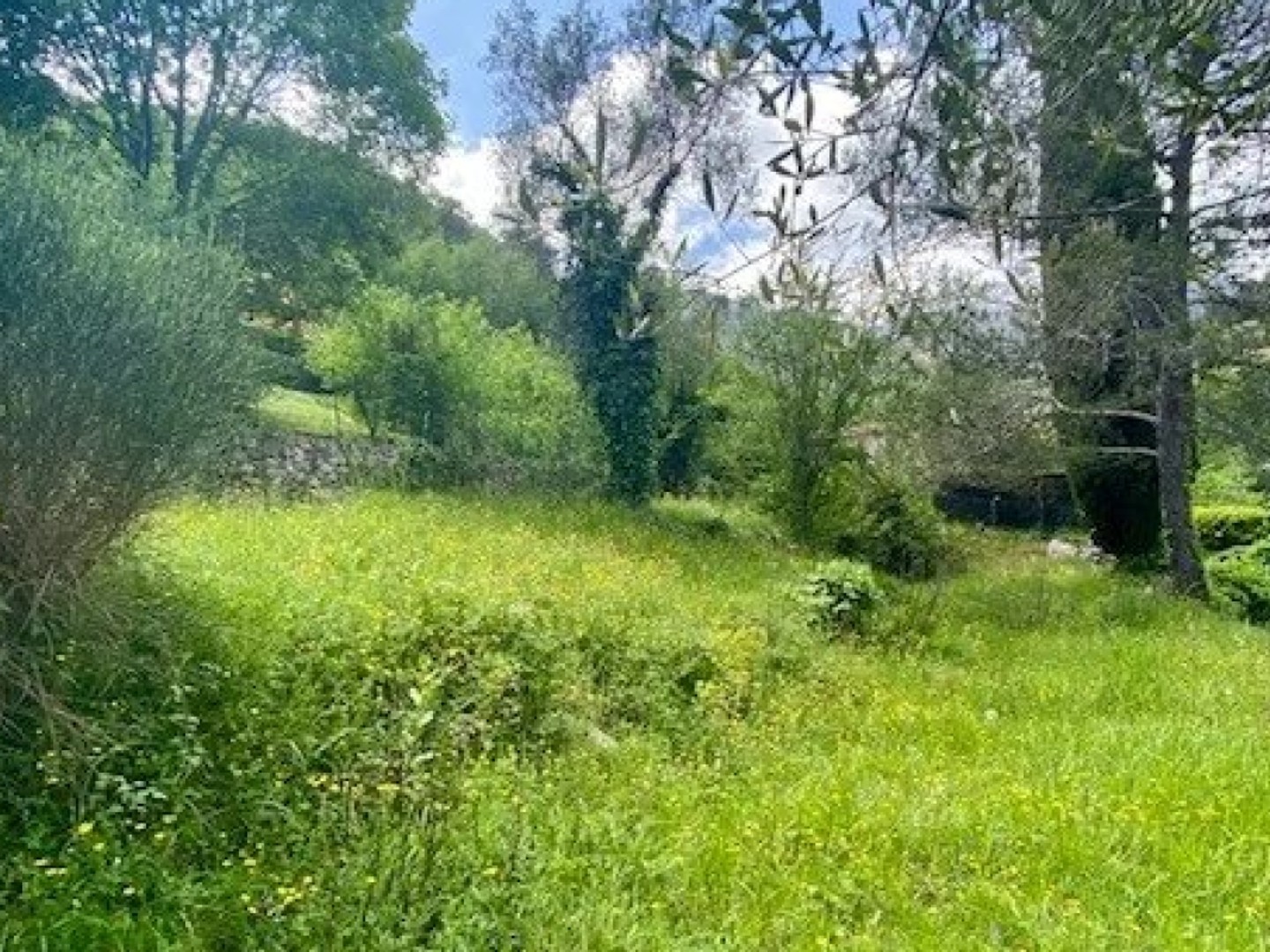 Terrain à vendre - 392m2 - Menton (06500)