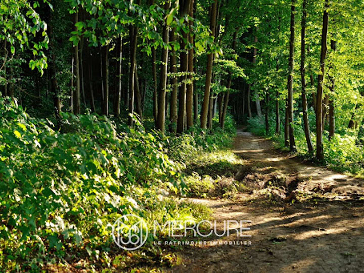 Terrain 829063 m²
