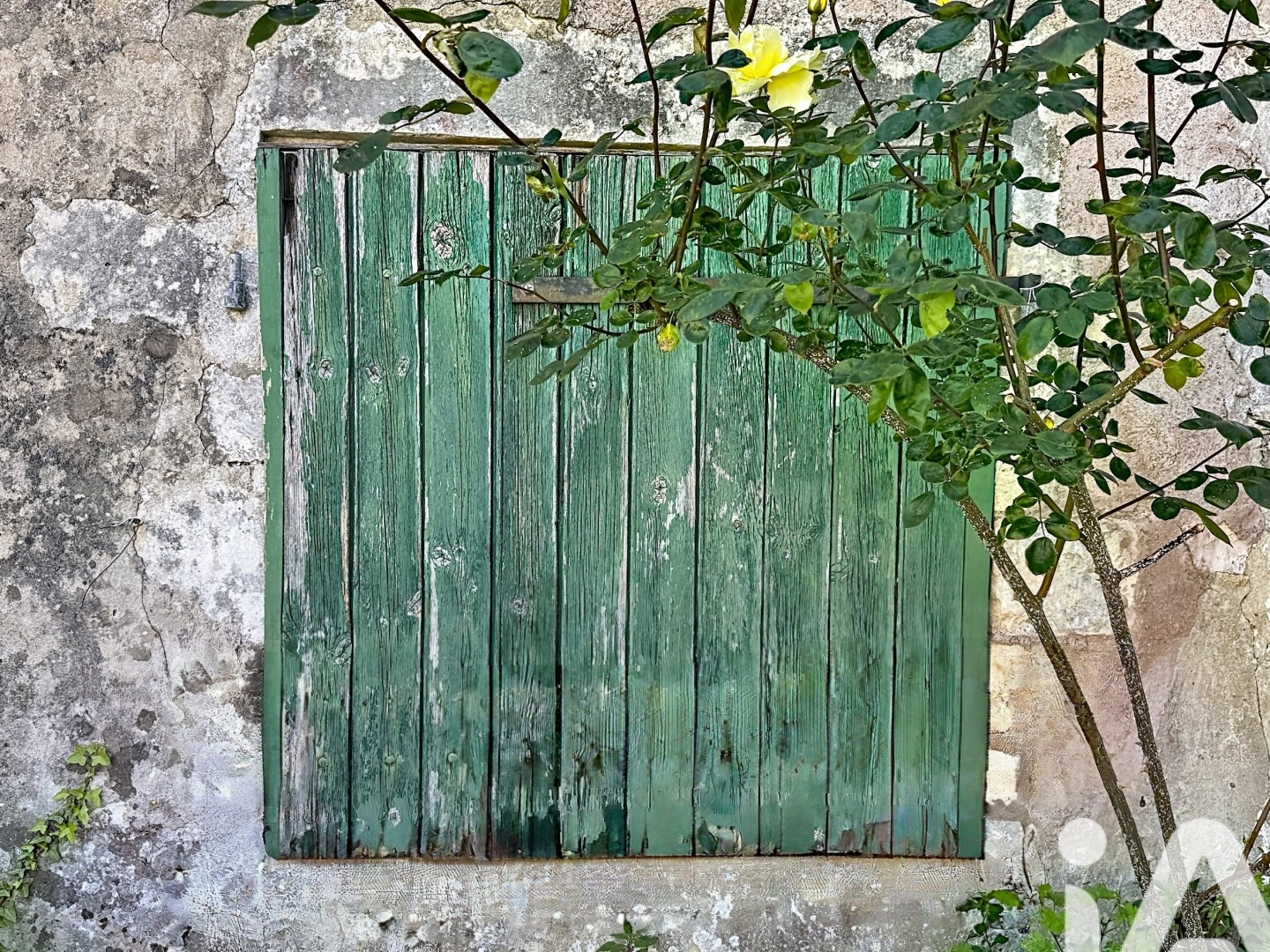 Maison à vendre - 2 pièces - 80m2 - Le Bois-Plage-En-Ré (17580)