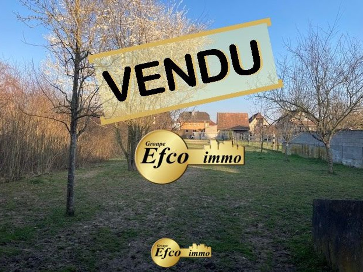 Terrain à vendre - 2336m2 - Hirtzbach (68118)