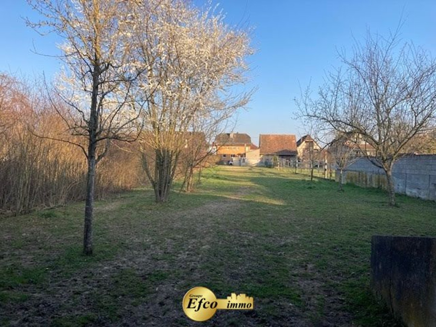 Terrain à vendre - 2336m2 - Hirtzbach (68118)
