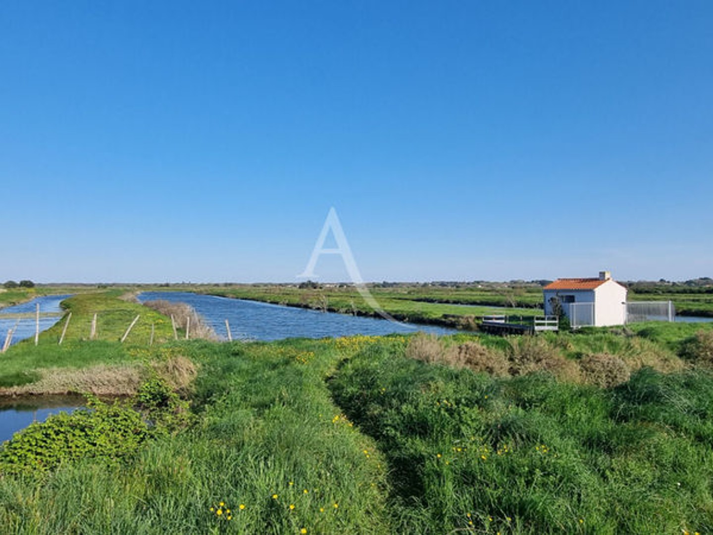 Terrain à vendre - 20000m2 - Saint-Hilaire-De-... (85270)