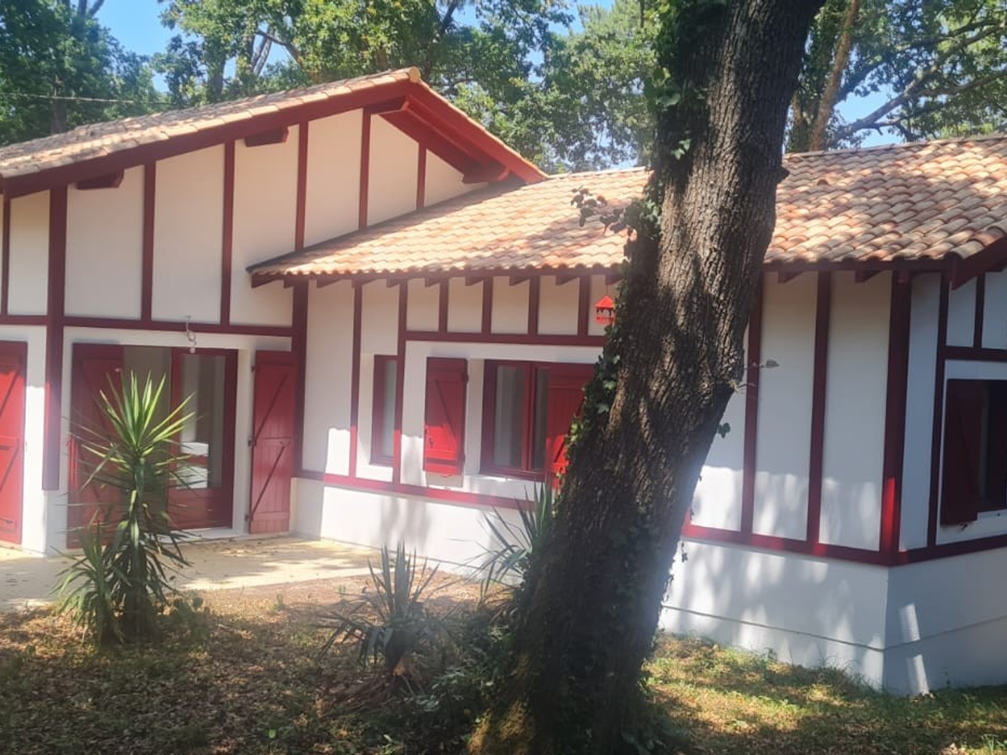 Maison à vendre - 5 pièces - 92m2 - Lège-Cap-Ferret (33950)