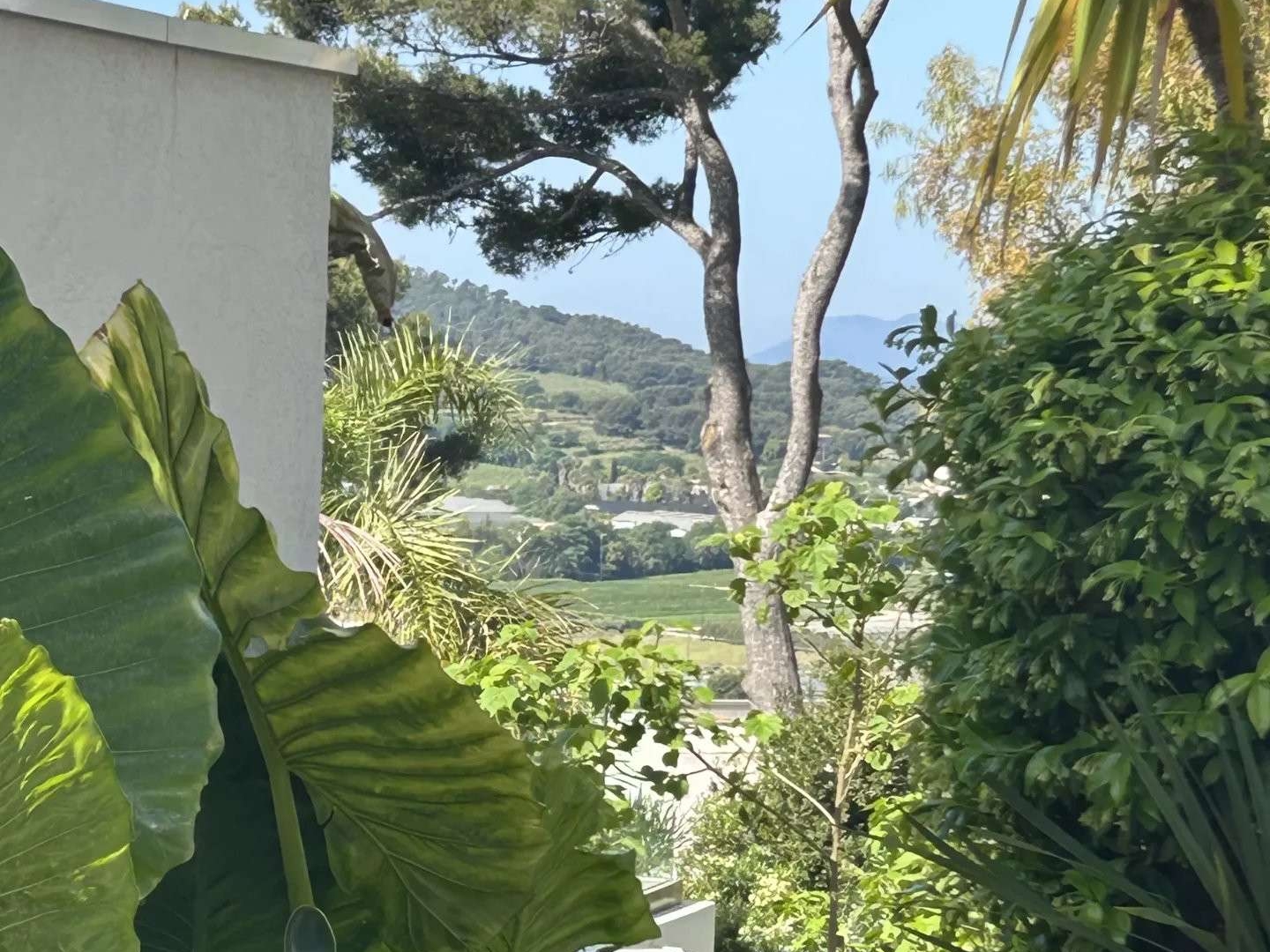 Maison à vendre - 7 pièces - 1500m2 - Carqueiranne (83320)