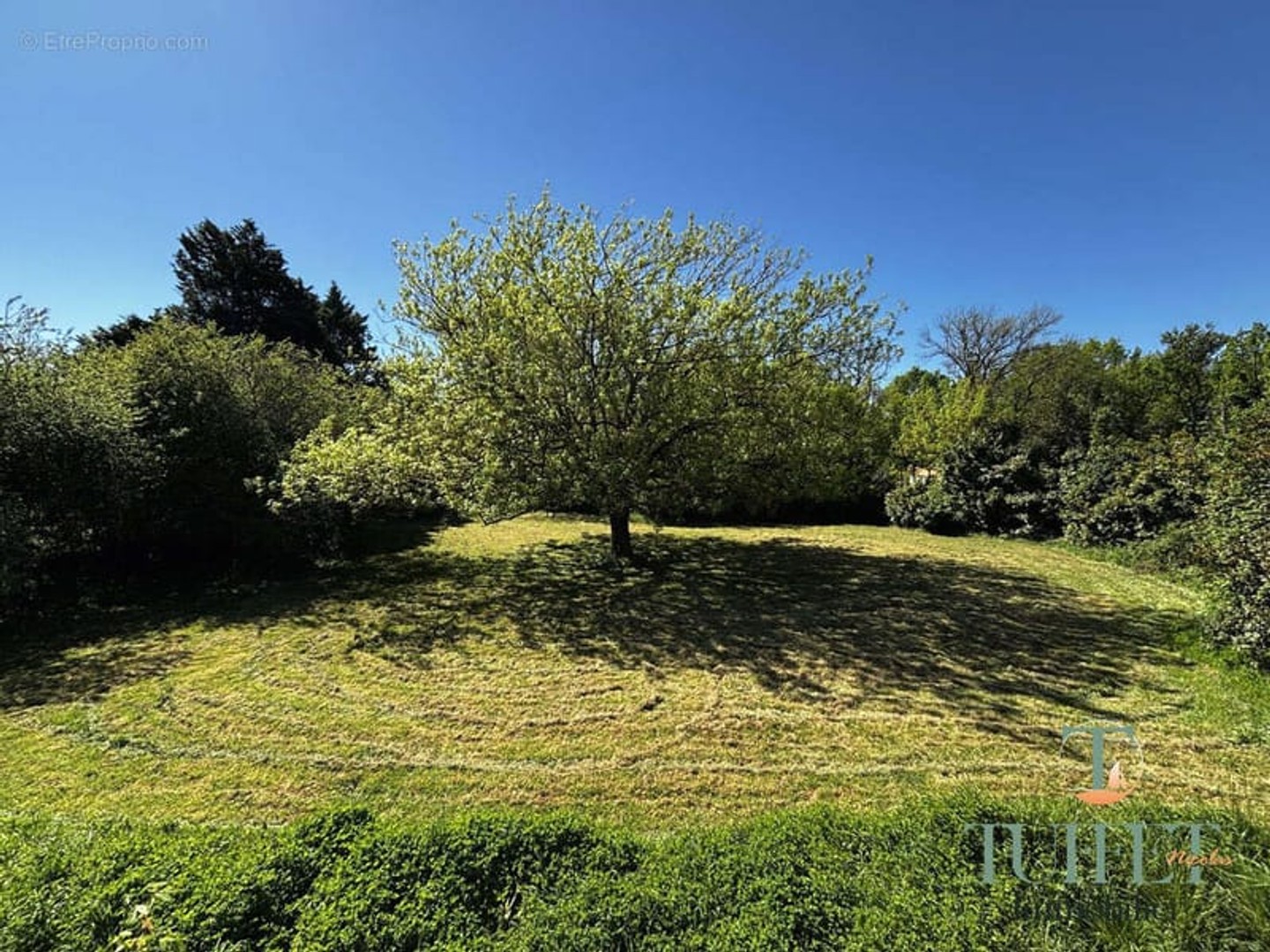 Maison à vendre - 7 pièces - 148m2 - Breuillet (17920)