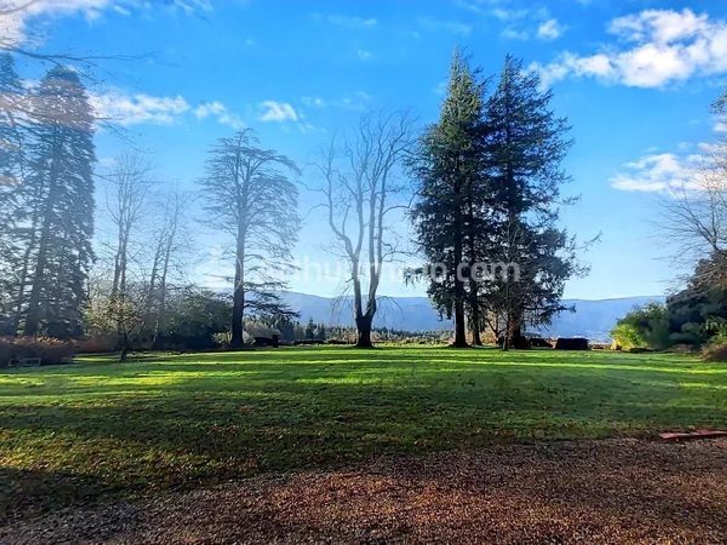 Maison à vendre - 3 pièces - 479m2 - Pont-De-Larn (81660)