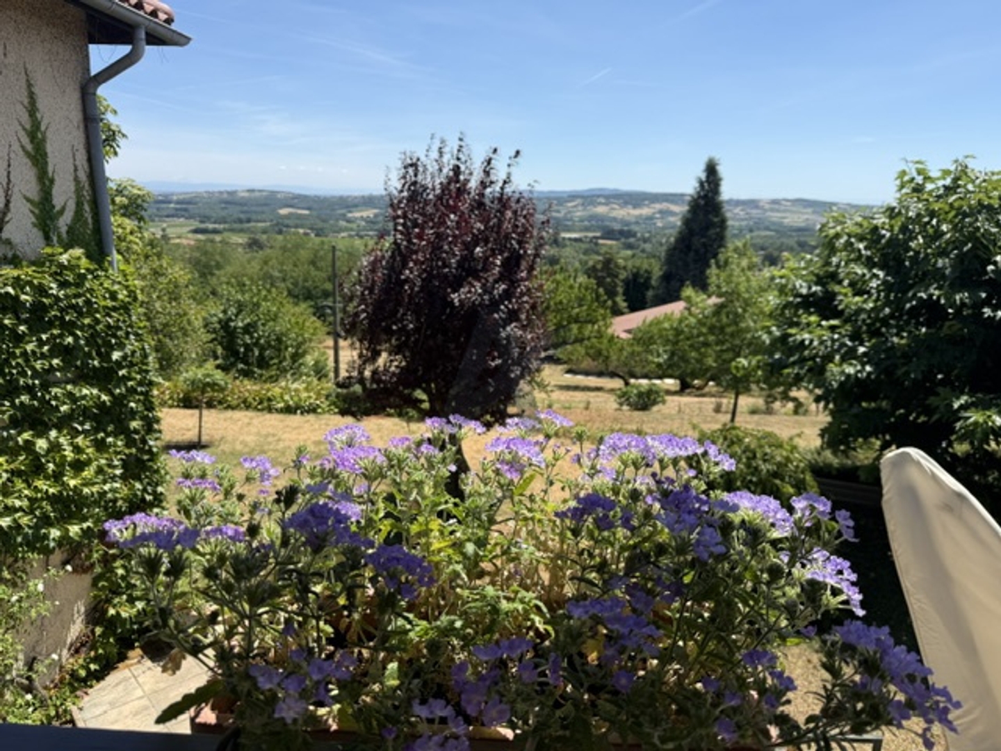 Maison à vendre - 8 pièces - 250m2 - Moiré (69620)