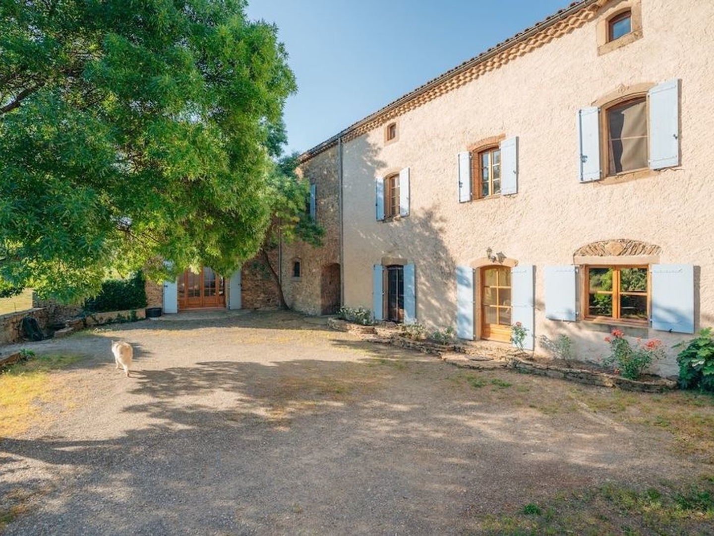 Maison à vendre - 520m2 - La Livinière (34210)