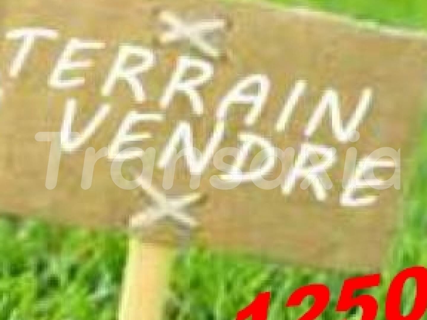 Terrain à vendre - 1200m2 - Saint-Laurent (18330)