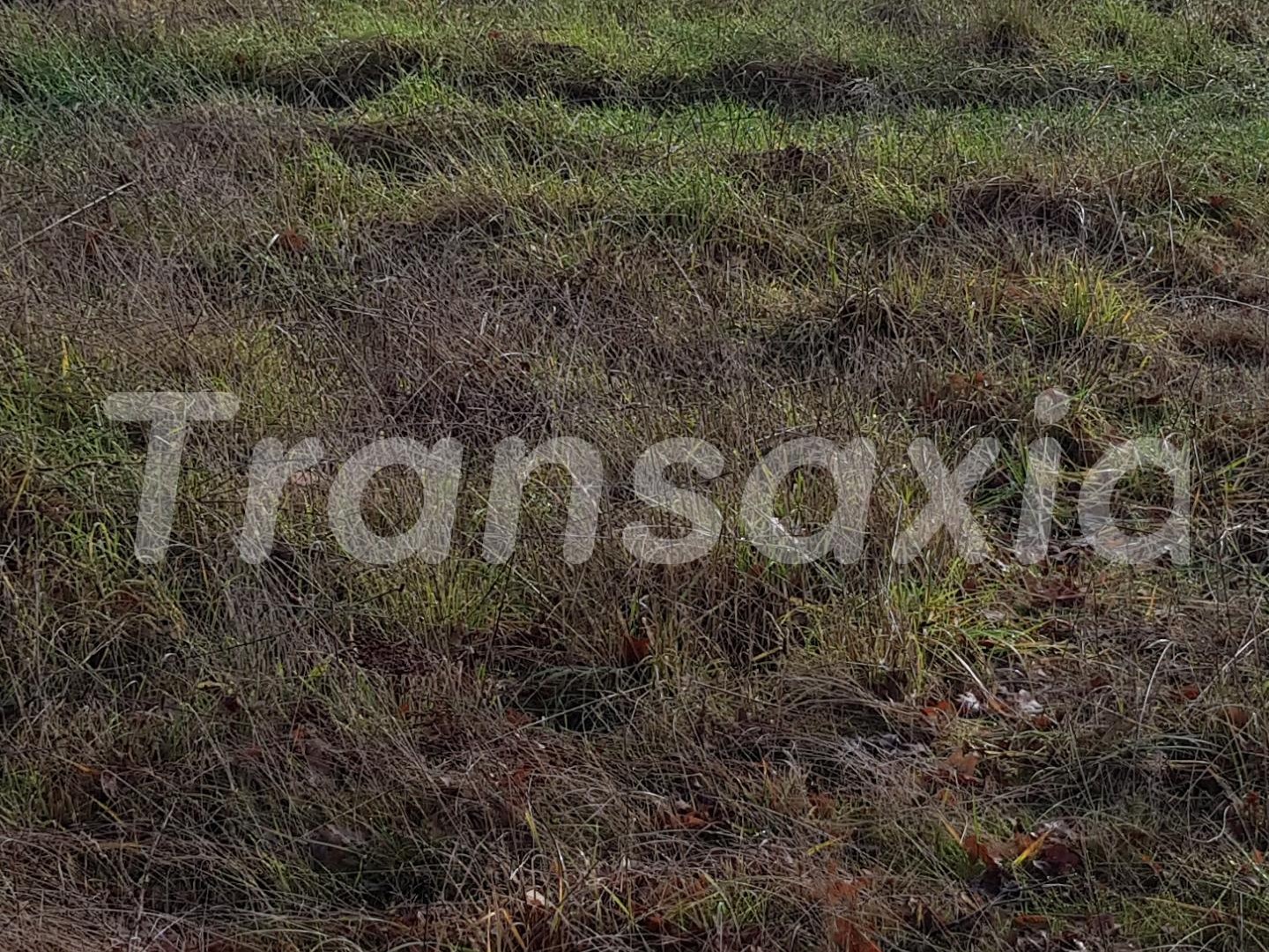 Terrain à vendre - 1200m2 - Saint-Laurent (18330)