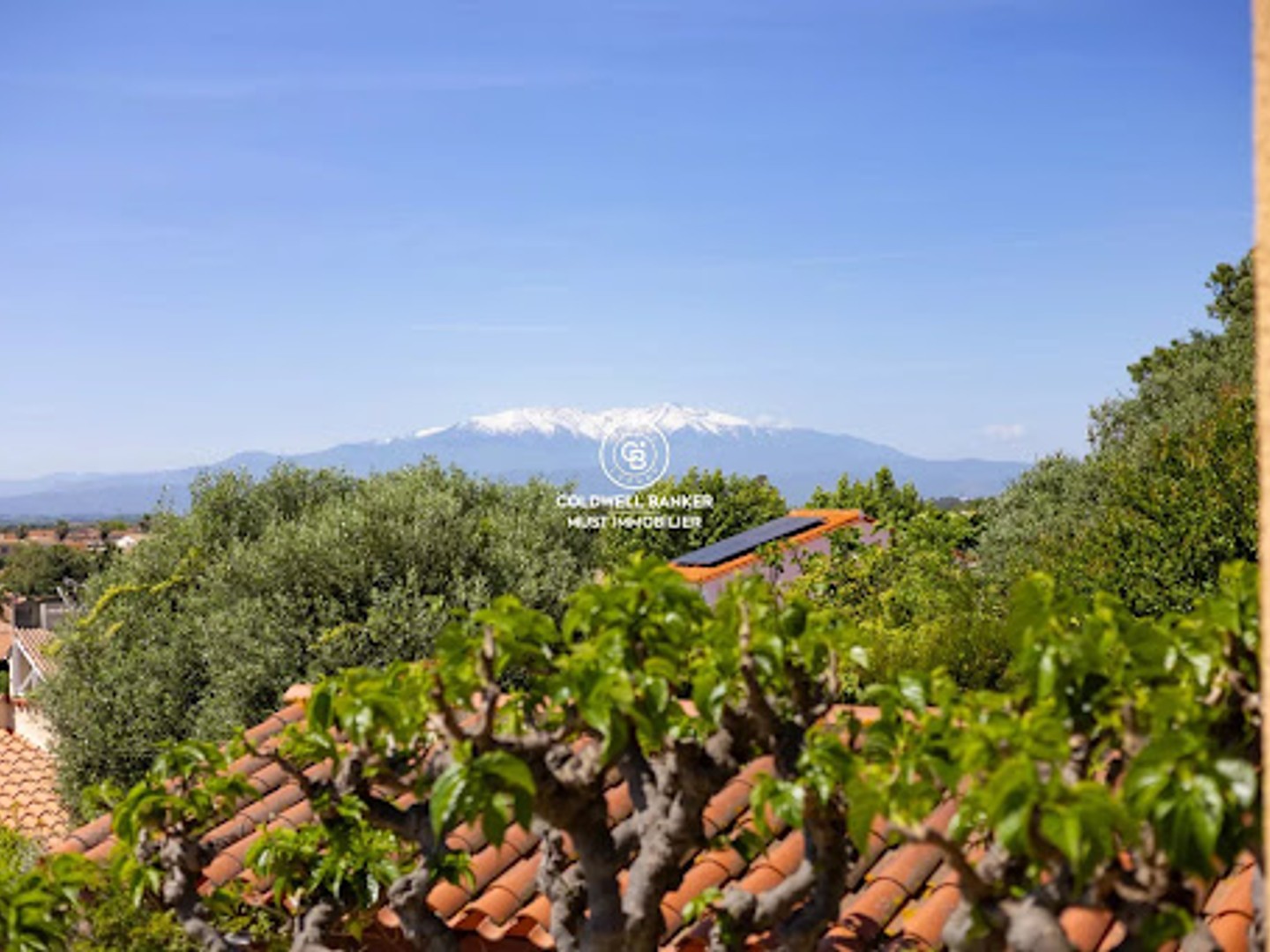 Maison à vendre - 6 pièces - 185m2 - Cabestany (66330)