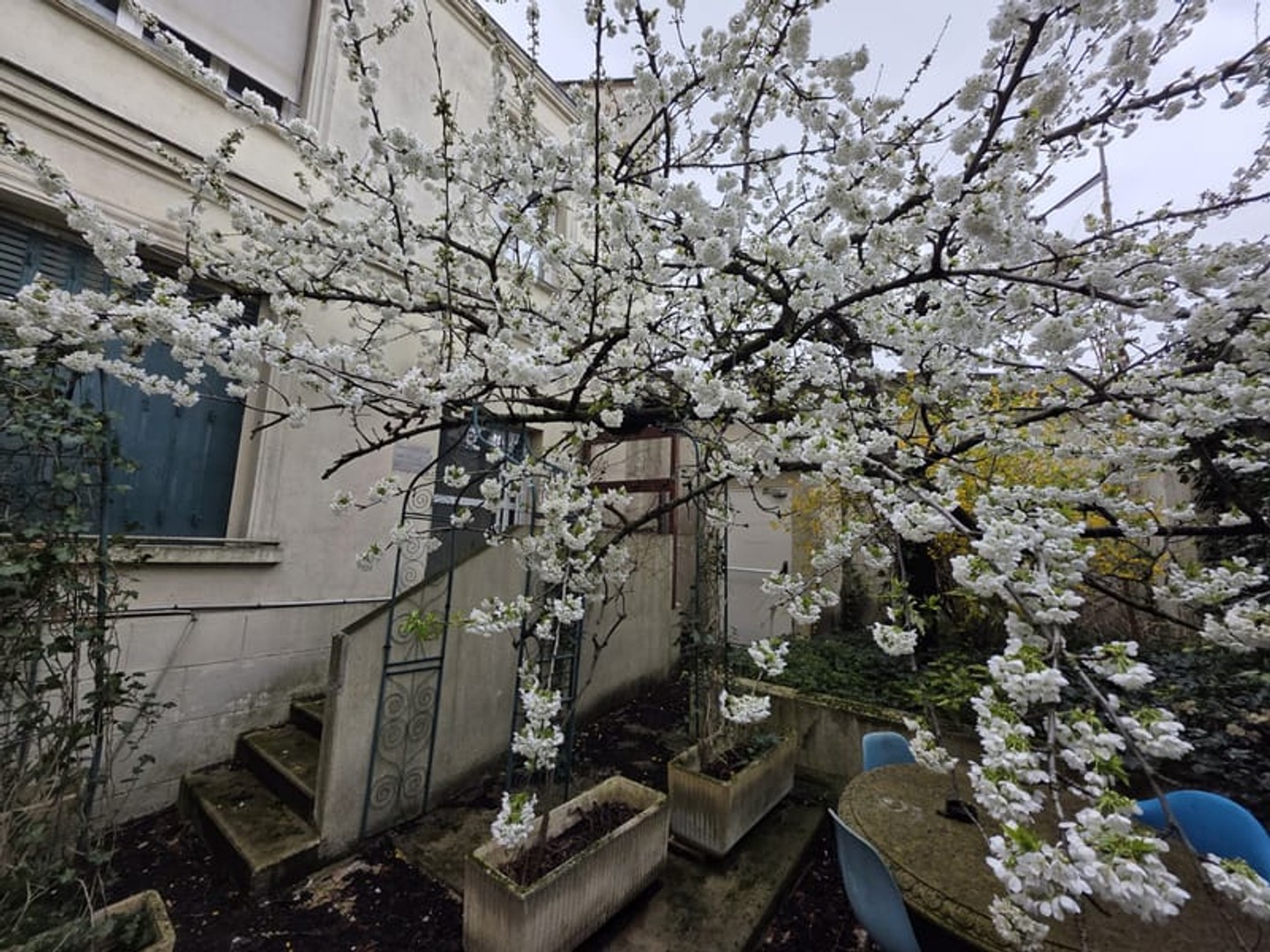 Immeuble à vendre - 7 pièces - 150m2 - Vincennes (94300)