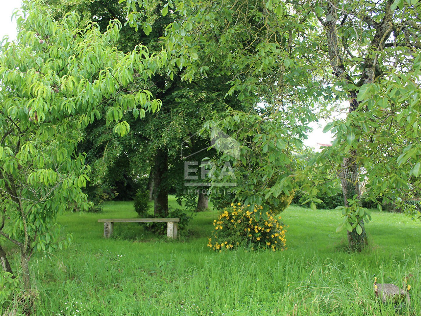 Autre à vendre - 1 pièce - 80m2 - Bernay-Saint-Martin (17330)