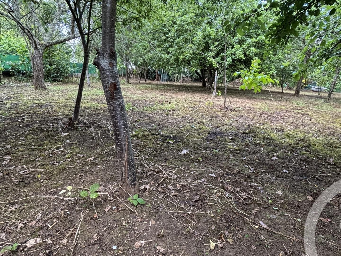 Terrain à vendre - 1824m2 - Viplaix (03370)