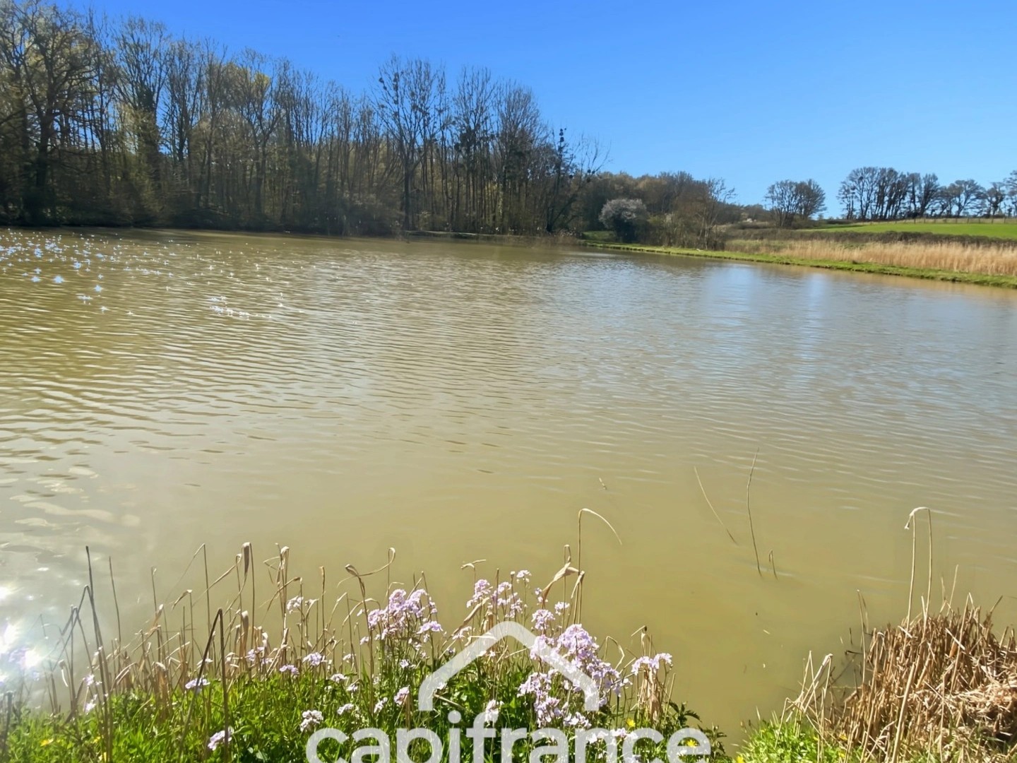 Terrain à vendre - 8350m2 - Savigny-Sur-Seille (71440)