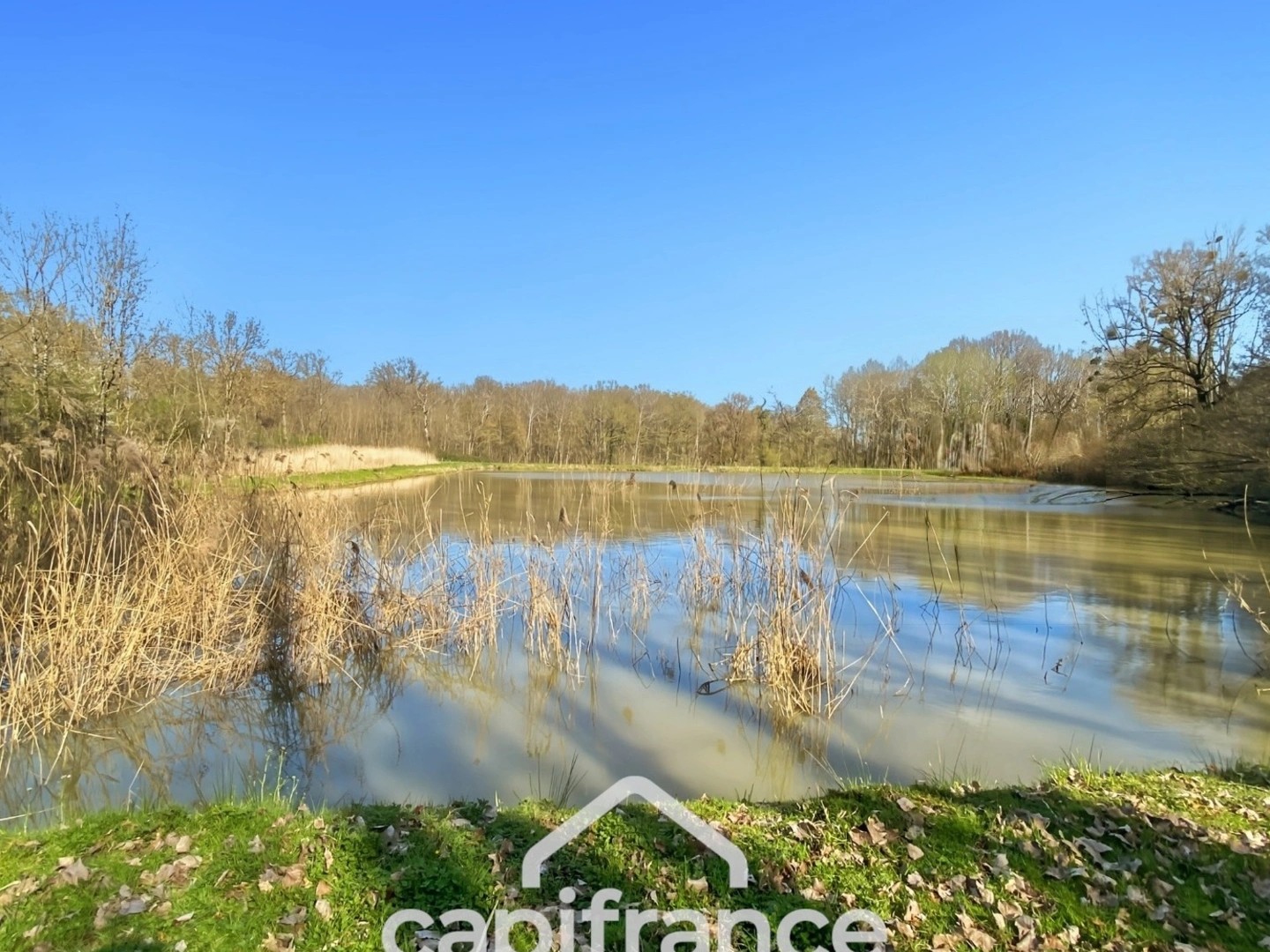 Terrain à vendre - 8350m2 - Savigny-Sur-Seille (71440)
