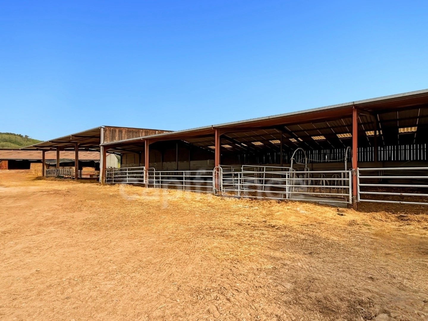Locaux à vendre - 2 pièces - 30010m2 - Joncy (71460)
