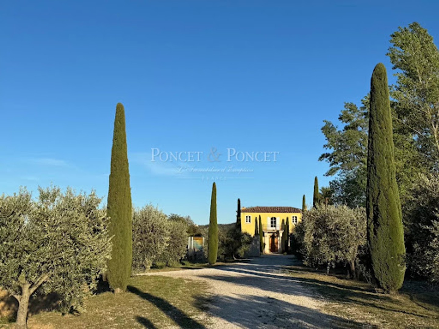 Vignoble 120000 m²