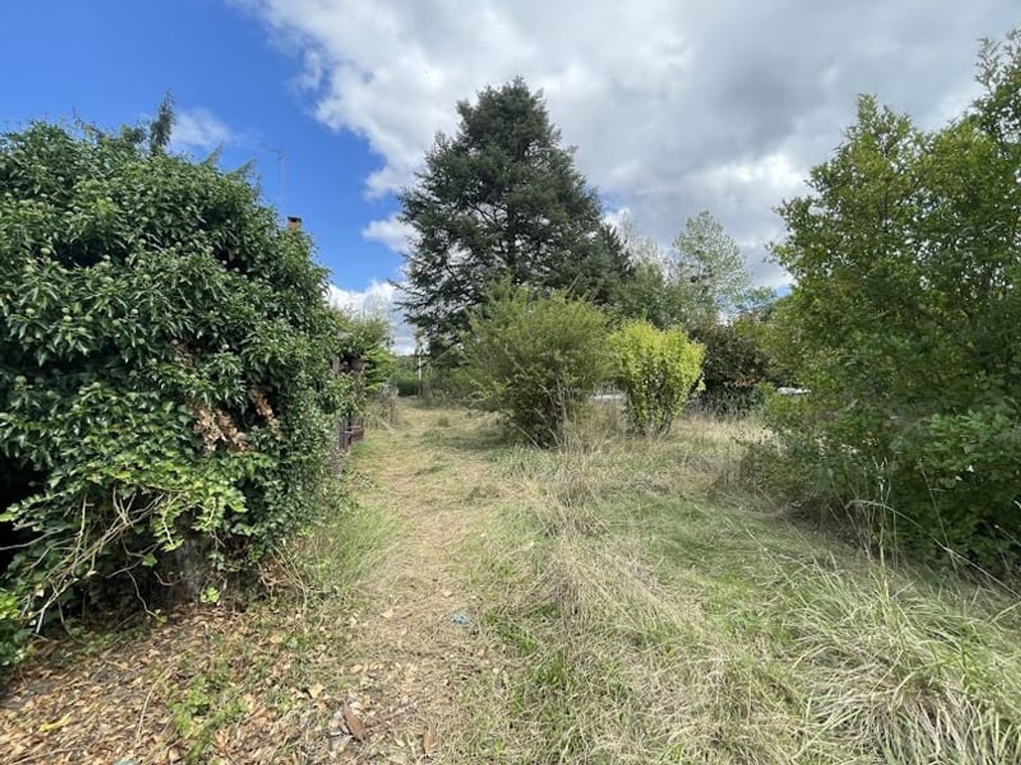 Maison à vendre - 2 pièces - 55m2 - Beaumont-La-Ferrière (58700)