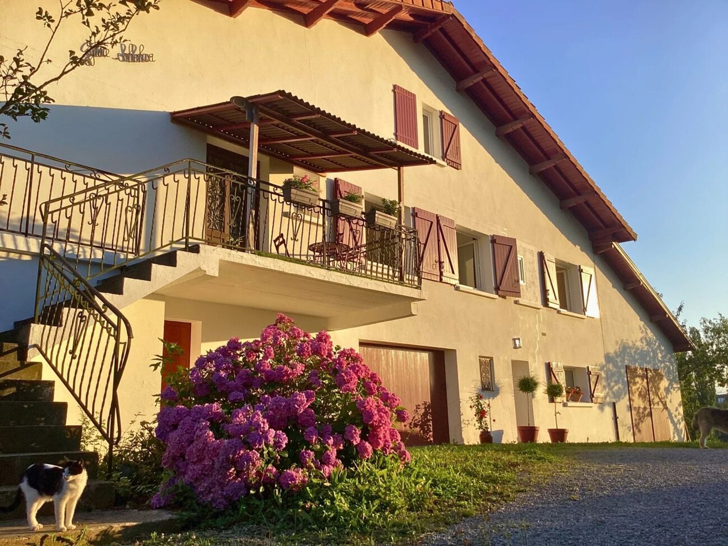 Maison à vendre - 2 pièces - 311m2 - Saint-Palais (33820)