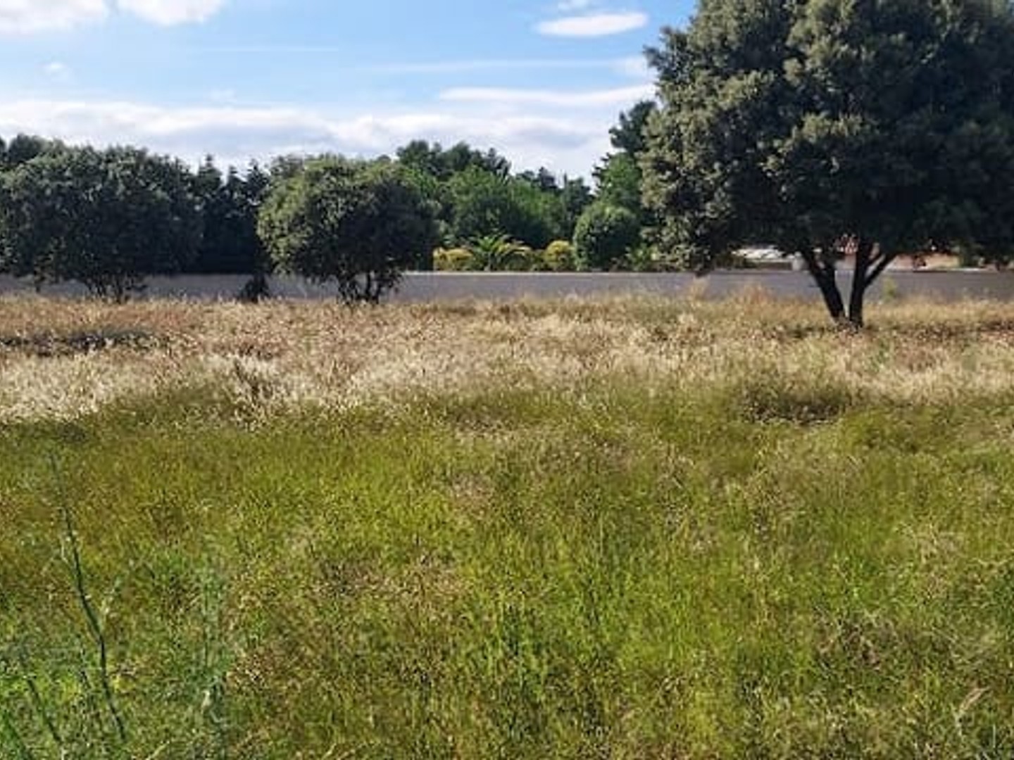 Terrain à vendre - 481m2 - Sorgues (84700)