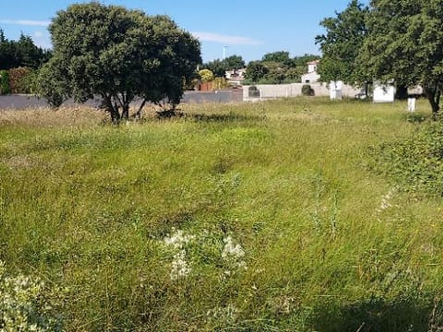 Terrain à vendre - 481m2 - Sorgues (84700)