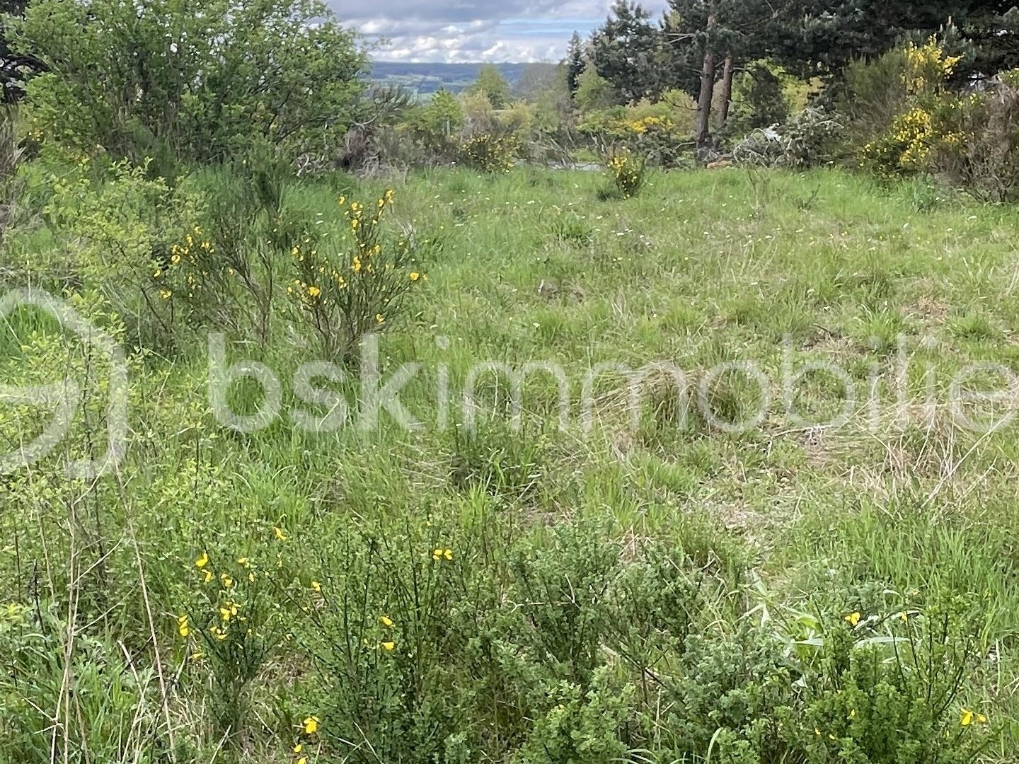 Terrain à vendre - 920m2 - Saint-Alban-Sur-L... (48120)