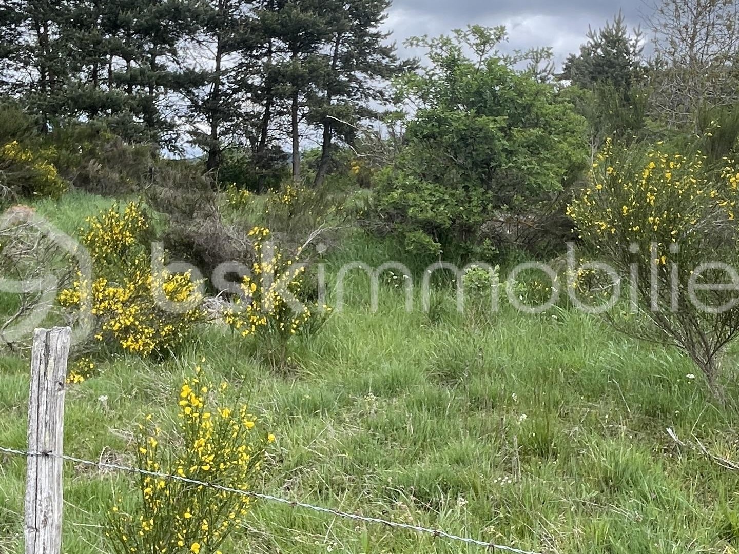 Terrain à vendre - 920m2 - Saint-Alban-Sur-L... (48120)
