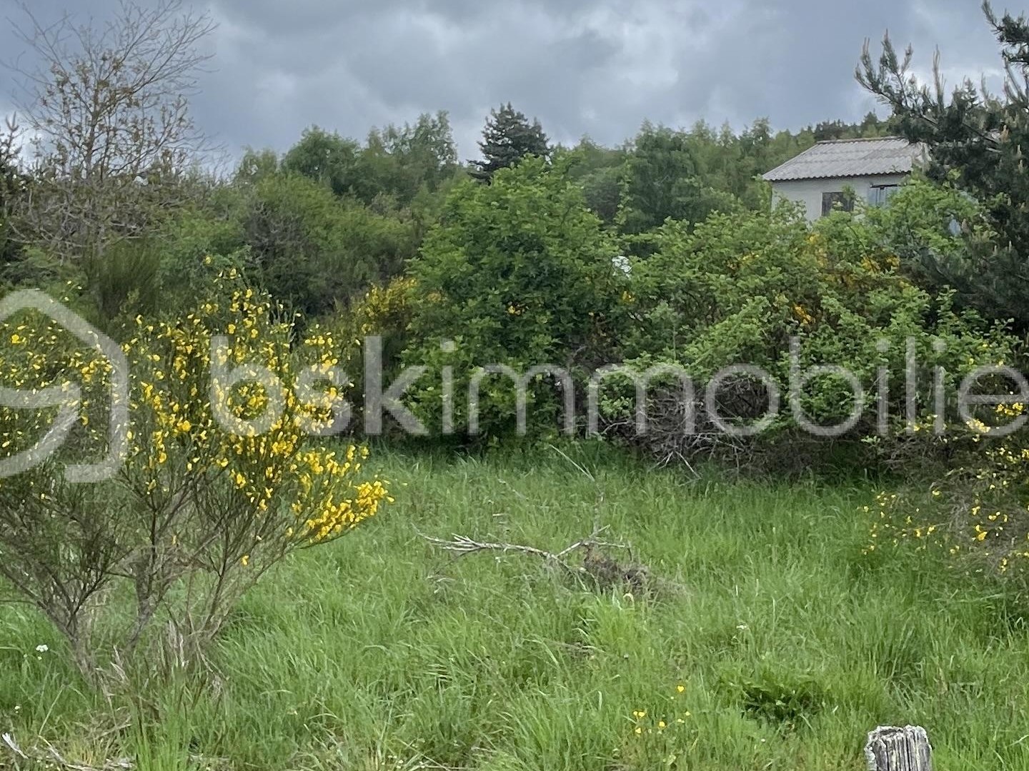 Terrain à vendre - 920m2 - Saint-Alban-Sur-L... (48120)