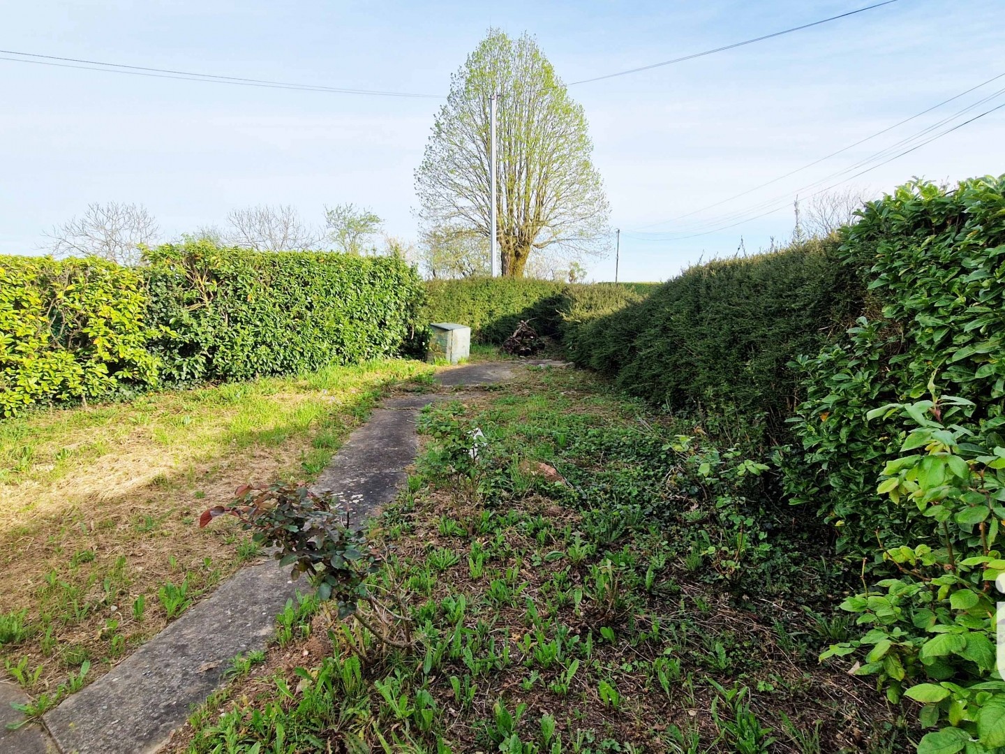 Maison à vendre - 4 pièces - 75m2 - Rives-D'autise (85240)