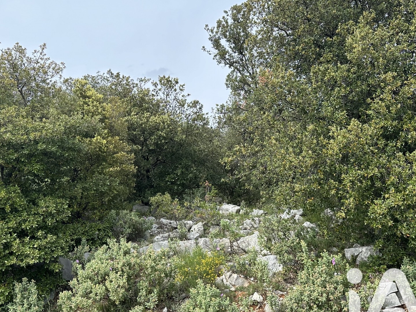 Terrain à vendre - 2710m2 - Mons (83440)