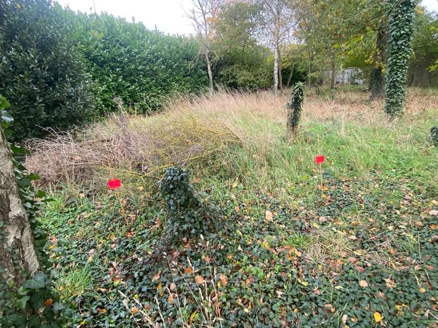 Terrain à vendre - Coulogne (62137)