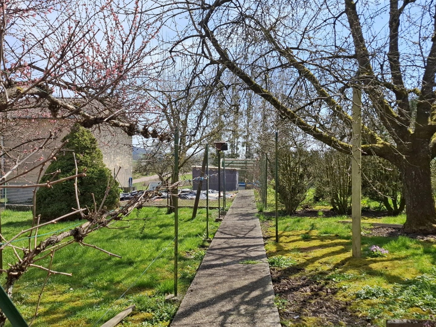 Maison à vendre - 2 pièces - 58m2 - Gemmelaincourt (88170)